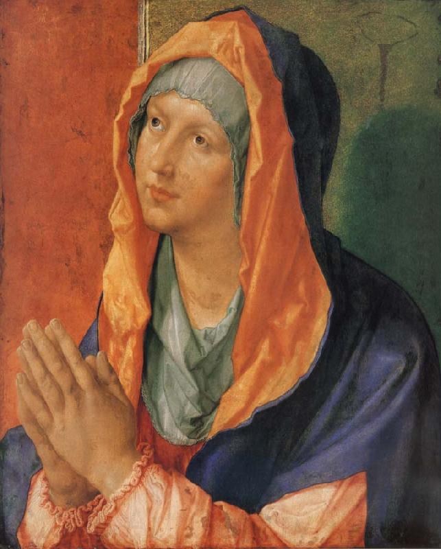 Albrecht Durer The Virgin in Prayer Germany oil painting art